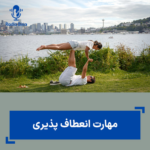 مهارت انعطاف پذیری