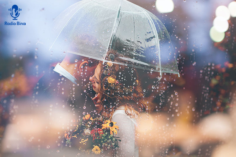 چه ویژگی های برای شما در اولویت است