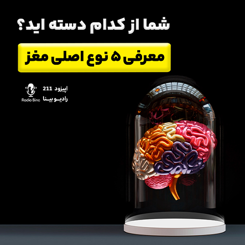 معرفی 5 نوع اصلی مغز